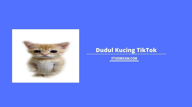 dudul kucing tiktok