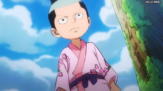 ワンピースアニメ 1036話 モモの助 | ONE PIECE Episode 1036