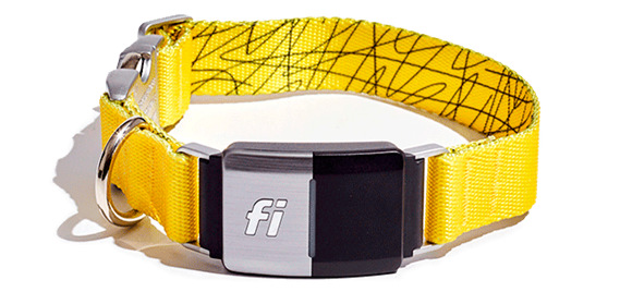 Fi-Smart Dog Collar