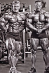 Male Bodybuilder Photo Gallery 5 - Almost Perfect Men