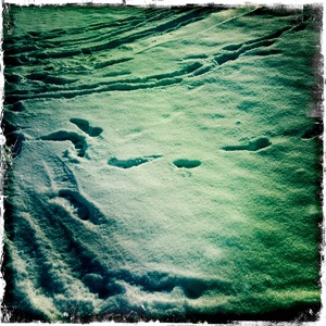 My HipstaPrint 15 (2)