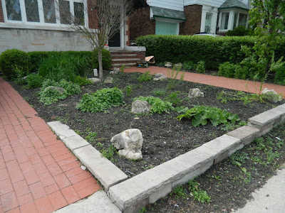 Midtown Toronto before new full sun perennial garden by Paul Jung Gardening Services