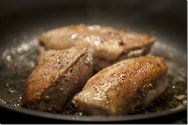 Duck Breasts-2
