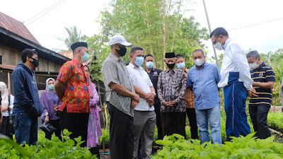 Nurdin Abdulla Tinjau Pertanian Tanaman Murbei  