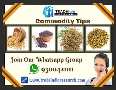 Commodity Tips