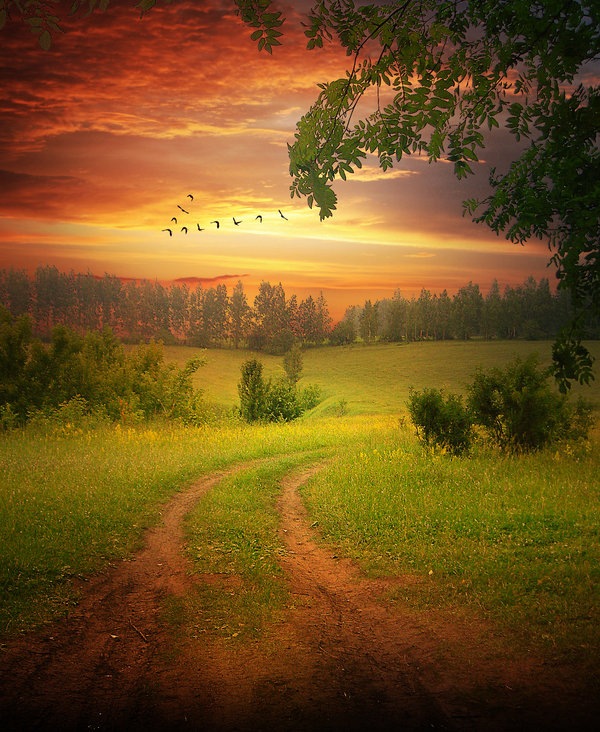 Landscape Photo-manipulation-photoshop