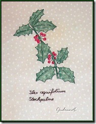 01 Ilex