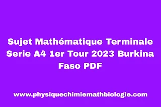 Sujet Mathématique Terminale Serie A4 1er Tour 2023 Burkina Faso PDF