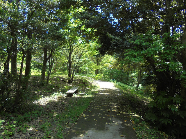 弥生の森の遊歩道