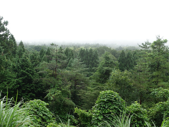 鳥取県道299号赤松淀江線　鳥取県西伯郡大山町今在家