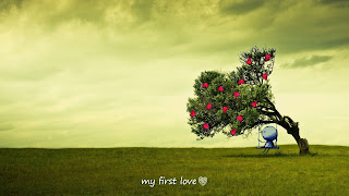 Use these to make beautiful Valentine Day Photos