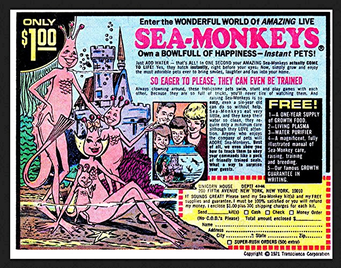 Keeping Live Sea-Monkeys as Pets - Mother Natured