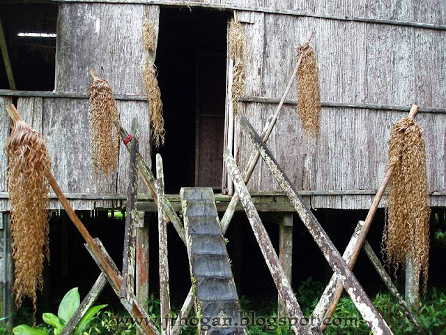 Entrance of Iban Longhouse