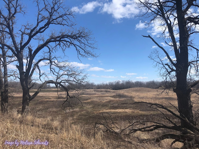 From atop a kame, Bluff Spring Fen Forest Preserves unfolded before us.