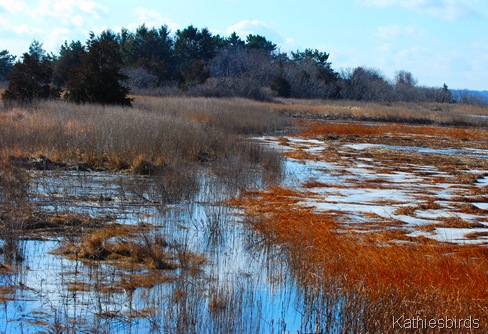 2. Marsh-kab
