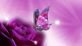 Wallpapers de Mariposas