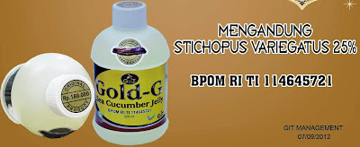 Obat Tradisional Hepatitis B Kronis