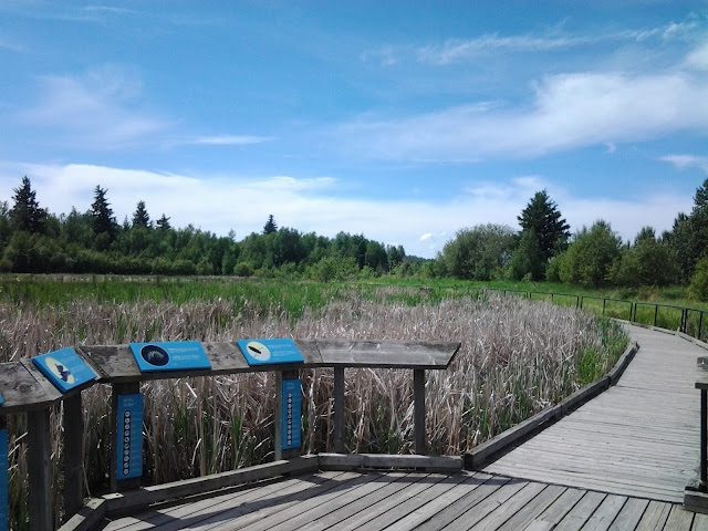 elk island boardwalk