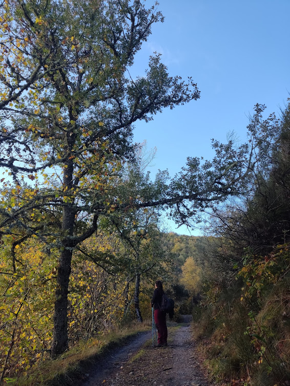 Subida al Cueto Nidio (Valle de Laciana)