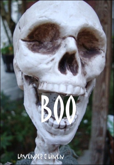 Halloween 2010 184-1