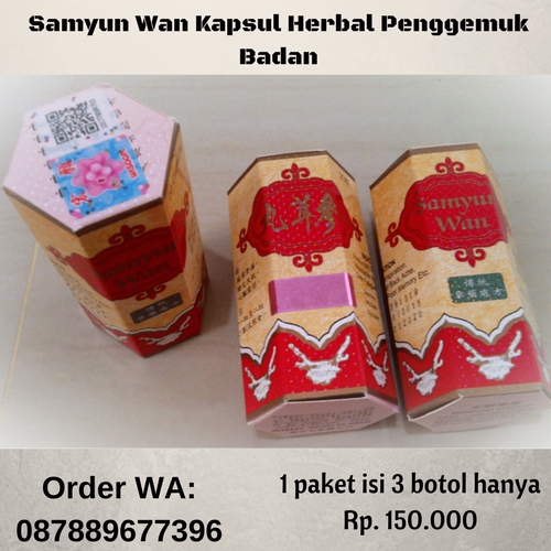 Cara Herbal Menggemukkan Badan, Efek Samyun Wan Obat Herbal Cina, Jual Jamu Penggemuk Badan Murah