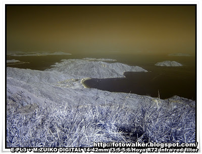 紅外線攝影(Infrared Photograph)@大東山