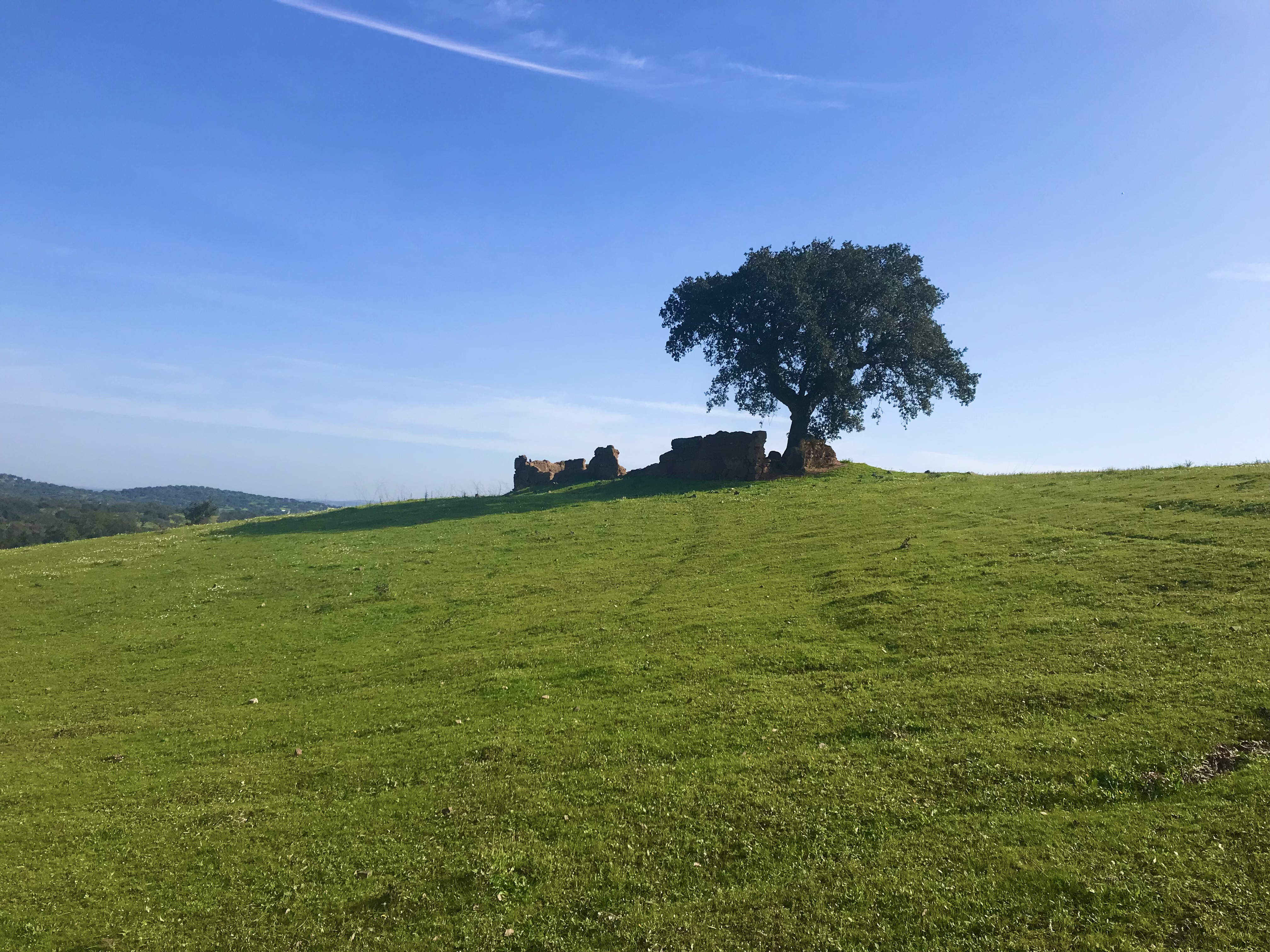 PR2 AVT, Moinhos, trilho,  Alentejo, Alvito, Portugal, Outdoors,