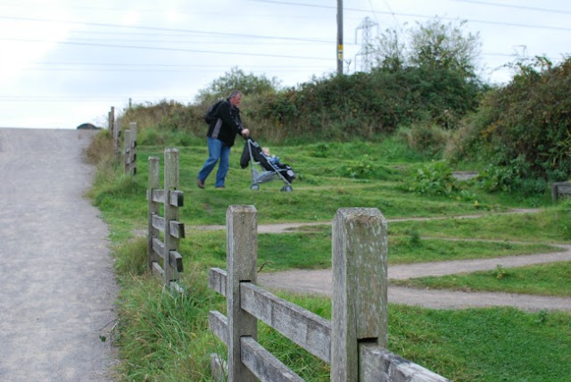 RSPB-Newport-Wetlands-Gravel-path-zig-zag-path-for-buggies-and-wheelchairs