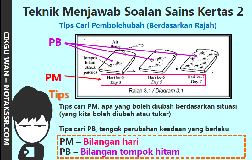 Teknik Menjawab Soalan Sains UPSR Kertas 2