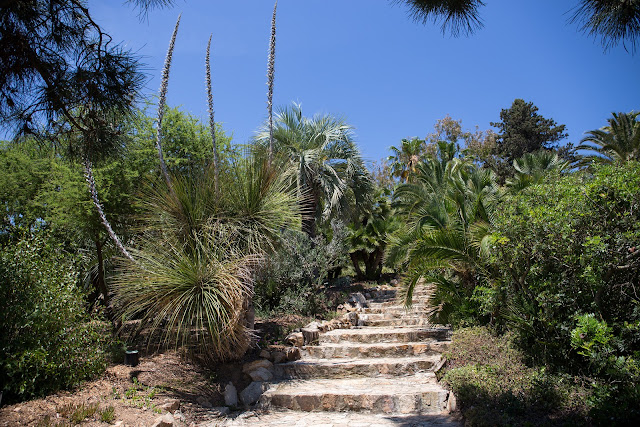 Ботанический сад Маримуртра (Jardí Botànic Marimurtra)