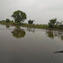 गाजीपुर: माइनर टूटने से 40 एकड़ भूमि जलमग्न