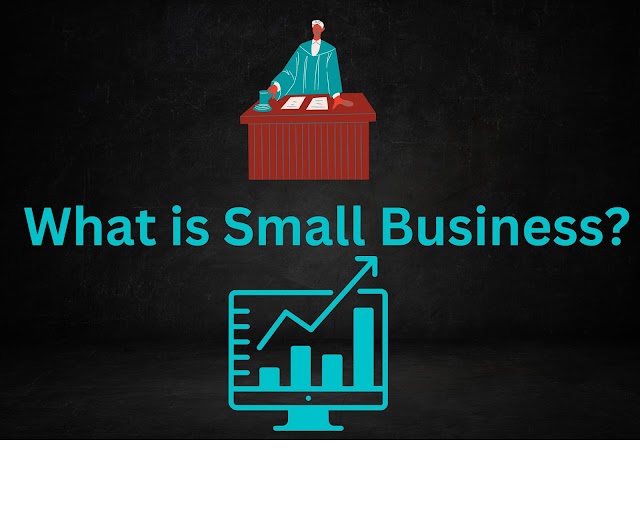 What is Small Business?