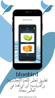 bluebird: تطبيق تعلم اللغة الإنجليزية والفرنسية أو أي لغة في العالم مجانا.