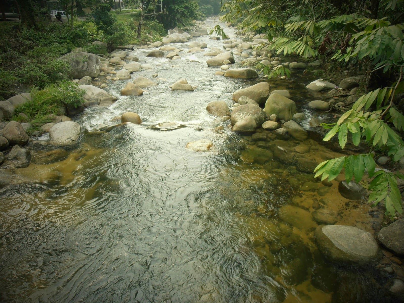 DIARI DIELA: Sungai Bill, Tanjung Malim, Perak.