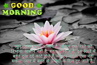 good morning shayri (प्यार भरी गुड मॉर्निंग शायरी इन लव)