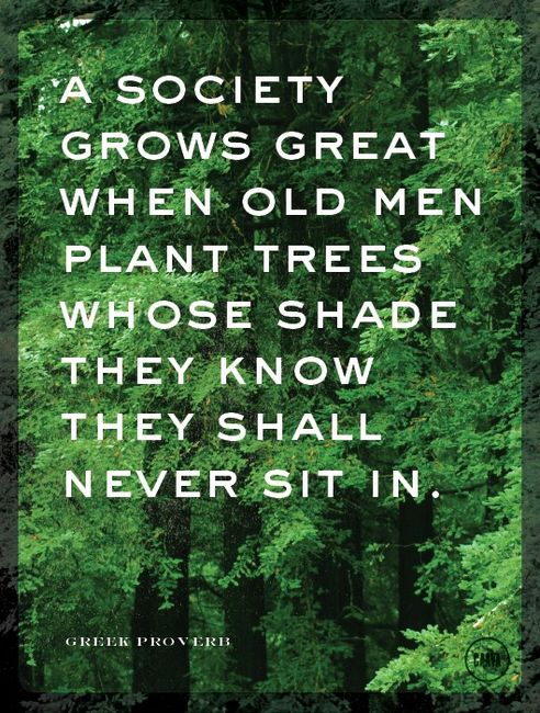 A Society Grows Great When Old Men Plant Trees Whose Shade They Know They Shall Never Sit In - Greek Proverb