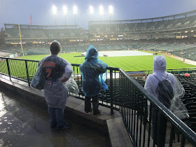 waiting for the rain to stop, tigers game, rain delay