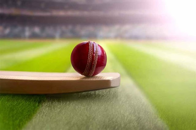 All About Odds in Cricket Predictions