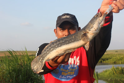 Foto Marcus Widhi Nugroho Berita Mancing