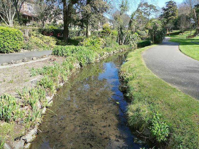 Stream through Ventnor park