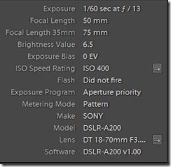 dof4.1