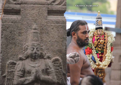 2015, Kodai Utsavam, Venkata Krishnan Swamy, Parthasarathy Temple, Thiruvallikeni, Triplicane,Day 06