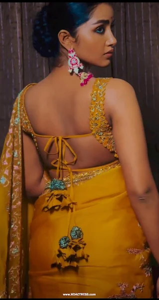 Anupama Parameswaran braless