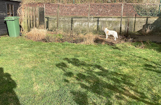 lente in de tuin