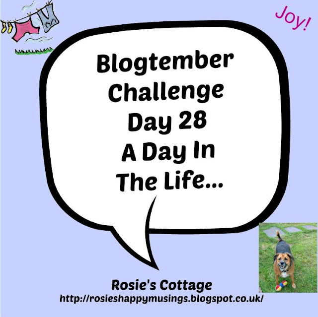 Blogtember Day 28 A Day In The Life 