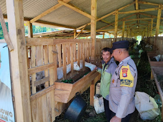 SAMBANG KANDANG KAMBING DOMBA KELOMPOK BERKAH HARJO BHABINKAMTIBMAS INGATKAN TINGKATKAN KEAMANAN  GUNA HINDARI PENCURIAN HEWAN