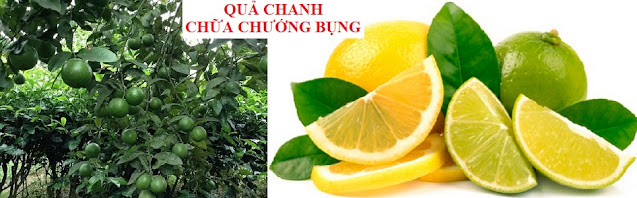 PHÒNG CHỮA BỆNH NHỜ RAU CỦ QUẢ QUANH TA - QUẢ CHANH CHỮA CHƯỚNG BỤNG