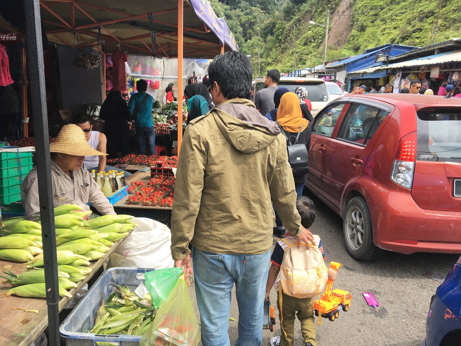 Sweet Escape To Cameron Highland With Familia│Fresh Vegetable & Fruit Shopping At Kea Farm, Brinchang