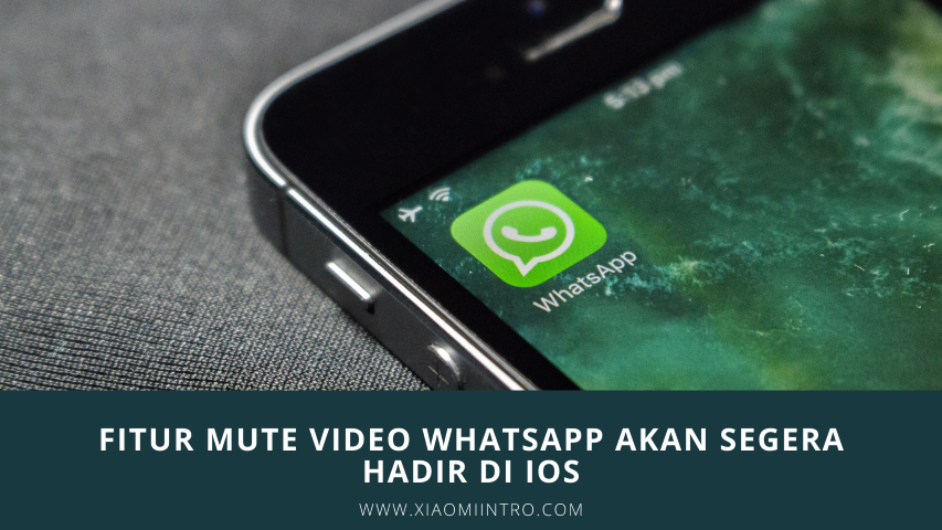 Fitur Mute Video Whatsapp Akan Segera Hadir Di iOS