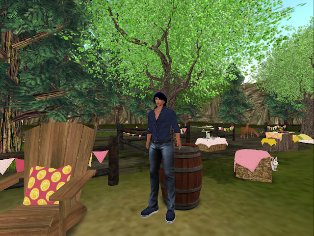 PlantPets - Opening Party, Ruum